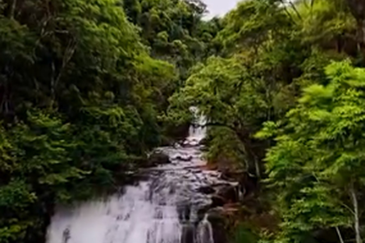 Cachoeira e mata nativa